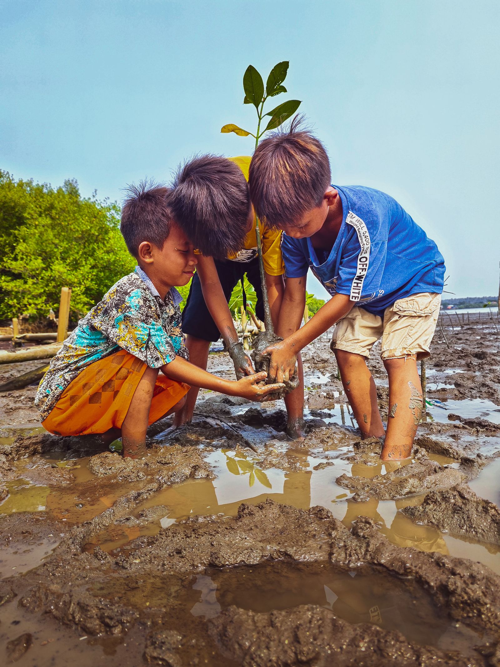 Anak-anak menanam mangrove di Banten