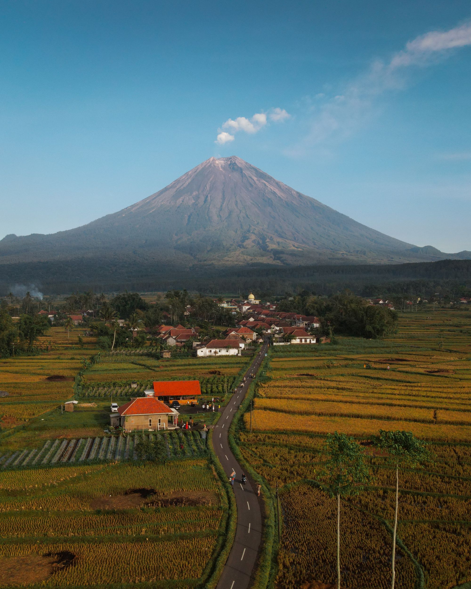 Bentang gunung, persawahan, anak belajar lingkungan, panel surya, dan turbin angin