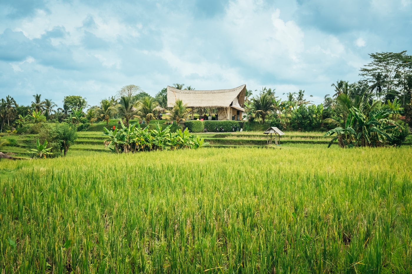 Villa dan investasi
