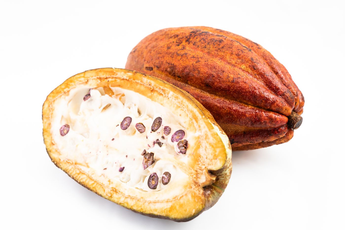 Buah kakao terbuka memperlihatkan bijinya