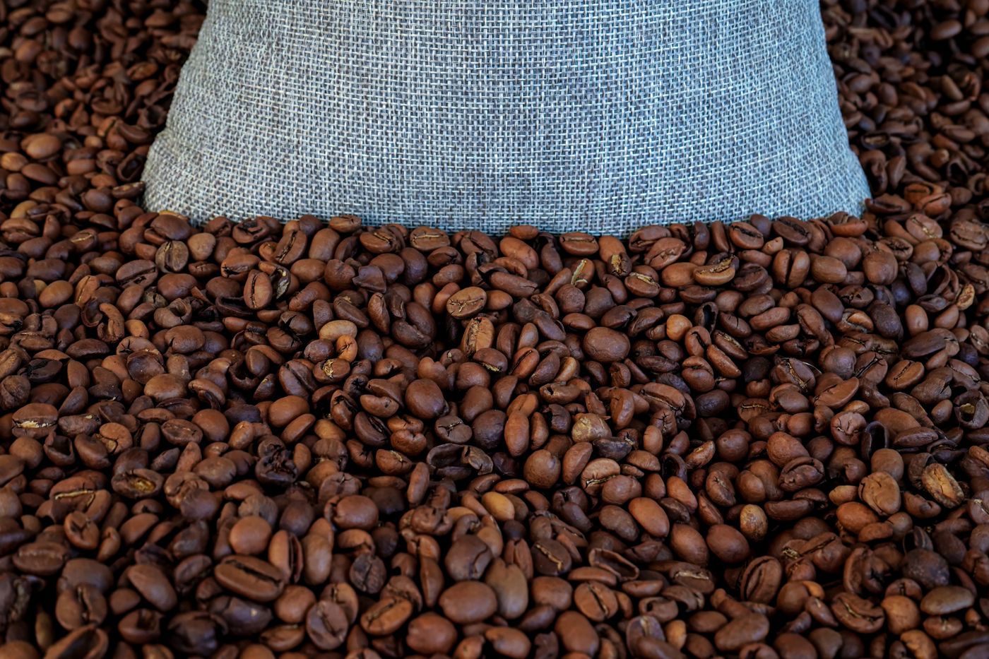 Biji kopi dalam karung goni